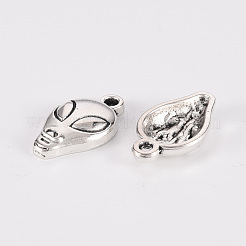Tibetischer stil Aluminium Anhänger & Charms&nbsp;TIBE-N010-75AS-RS