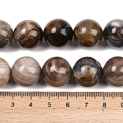 Природные окаменелое дерево бисер пряди&nbsp;G-L648-A03-16mm-02