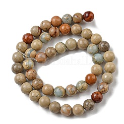 Chapelets de perles en jaspe aqua terra naturel&nbsp;G-E444-14B-10mm