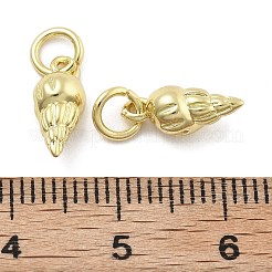 Messing Anhänger & Charms&nbsp;LS-KK-U060-22G-A