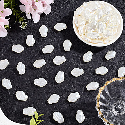 100 шт. Абс пластик имитация жемчуга бусины OACR-LT0001-05