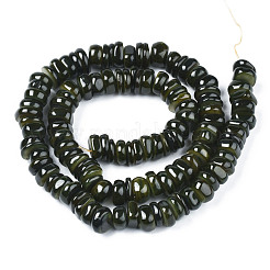 Fili di perle di conchiglia trochid naturale / trochus&nbsp;SHEL-S258-081-B01