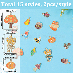 30 шт. 15 стиля подвески из сплава с легким золотым покрытием ко Дню благодарения&nbsp;ENAM-SC0010-02