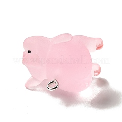 Подвески из полупрозрачной смолы RESI-E031-01P-04