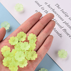 Прозрачные матовые шарики из акрилового шарика MACR-S371-04A-728