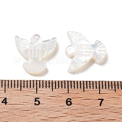 Бусины из натуральных ракушек BSHE-H017-02