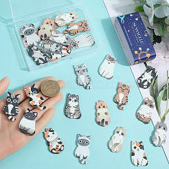 30шт 15 стиля акриловые подвески OACR-SC0001-90