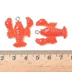 Подвески из смолы RESI-F060-01A