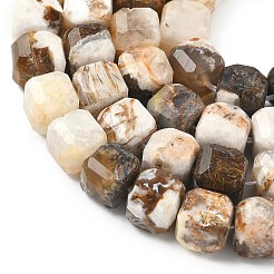 Природные окаменелое дерево бисер пряди&nbsp;G-C267-A06