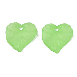 Прозрачные акриловые подвески&nbsp;TACR-S157-01B