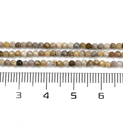 Бусы из натурального алашанского агата G-C181-B05-01