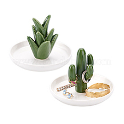2 шт. 2 стиля фарфоровые тарелки для украшений с изображением кактуса и алоэ DJEW-PH0001-58