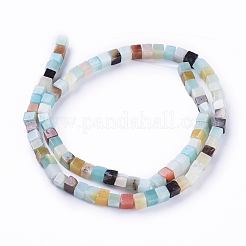 Натуральный цветок амазонитовые бусины пряди G-D0020-06B