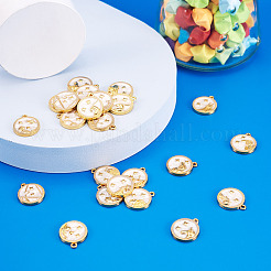 24шт 12 стиля подвески из сплава с эмалью&nbsp;ENAM-TA0002-58