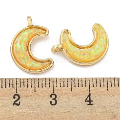 Подвески из полупрозрачной смолы KK-M291-23G