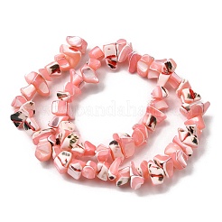 Нити бусин из натуральных трохоидных/трохус ракушек&nbsp;SHEL-B003-02C