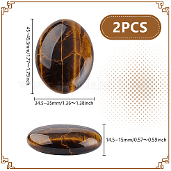 2 шт. натуральный тигровый глаз пальмовый камень AJEW-GA0007-90A