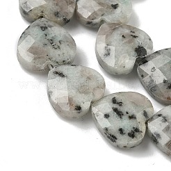 Натуральный кунжут яшма / киви нитки бусины яшмы&nbsp;G-A309-A03-01