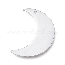 Pendenti in acciaio inossidabile 304 anti-ossidazione&nbsp;STAS-L238-102B-P