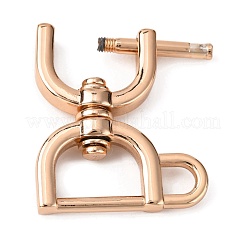 D-Ringe aus Zinklegierung mit Schraubschäkel&nbsp;FIND-WH0044-43KCG