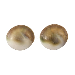 Ohrstecker mit Muschelmotiv&nbsp;EJEW-JE07325