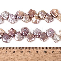 Натуральный жемчуг в стиле барокко кеши&nbsp;PEAR-S020-A04-01