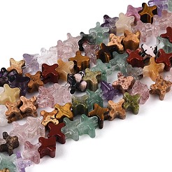 Природных драгоценных камней смешанного бисер нитей&nbsp;G-T143-31