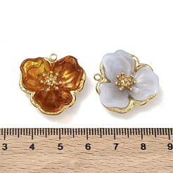 Anhänger aus Edelstahl 304&nbsp;STAS-F345-04G