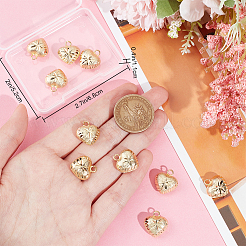 Латунные подвески с покрытием 10шт&nbsp;KK-BBC0011-21