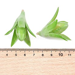 エポキシ樹脂とドライフラワーのペンダント  マグノリアのつぼみのチャーム  真鍮のループを有します  ゴールドカラー  ライム  37~42x27~34x24~36mm  穴：1.6mm&nbsp;RE-CBAAE94-05E