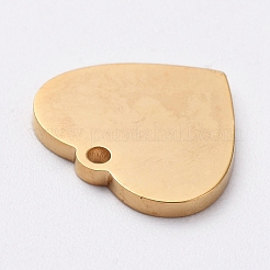 PVD-Vakuumbeschichtung 304 Edelstahl-Stanzen von Blanko-Anhängern&nbsp;STAS-G215-12-G02