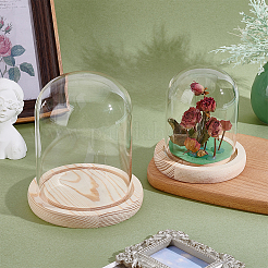 2 шт. 2-х стилистическая стеклянная крышка-купол&nbsp;AJEW-NB0007-93