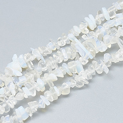 Opalite Beads Strands, Chip, 3~11x3~5x1~4mm, Hole: 1mm, about 380~400pcs/strand, 33 inch