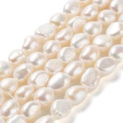 Natural Cultured Freshwater Pearl Beads Strands, Two Side Polished, Grade 6A, Seashell Color, 9~10x8~9x8~9mm, Hole: 0.6mm, about 36~37pcs/strand, 13.78''(35~35.5cm)