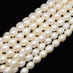 Natural Cultured Freshwater Pearl Beads Strands, Rice, Creamy White, 12~14x10~11, Hole: 0.8mm, about 32pcs/strand, 13.77 inch~14.17 inch