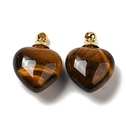 Pendentifs de bouteille de parfum oeil de tigre naturel, Breloques cœur avec 304 accessoires en acier inoxydable plaqués or, 28x20x12mm, Trou: 2mm