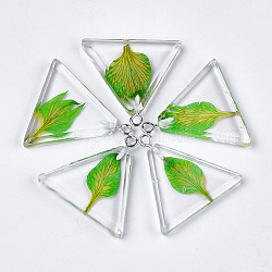 Harzanhänger, mit getrockneten Blüten und Eisenfunden, Dreieck, Platin Farbe, lime green, 26.5x28x4.5 mm, Bohrung: 2 mm