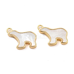 Natural Freshwater Shell Brass Bear Charms, Real 18K Gold Plated, 10x13x2mm, Hole: 1.4mm