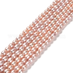 Fili di perle di perle d'acqua dolce coltivate naturali, riso, grado 4 un, salmone scuro, 6~7x4~4.5mm, Foro: 0.5 mm, circa 58pcs/filo, 14.69'' (37.3 cm)