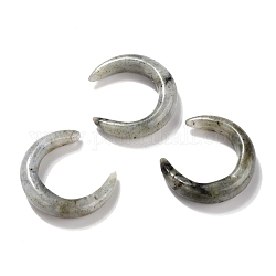 Perles naturelles de labradorite, sans trou, pour création de fil enroulé pendentif , double corne / croissant de lune, 31x28x6.5mm
