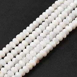 Eau douce naturelle de coquillage perles brins, rondelle, couleur de coquillage, 5x3mm, Trou: 0.9mm, Environ 114~115 pcs/chapelet, 15.31~15.43'' (38.9~39.2 cm)