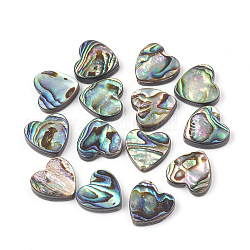 Perles coquille d'ormeau / coquille de paua, cœur, colorées, 14x14x4mm, Trou: 1.2mm