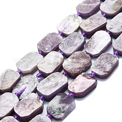 Perles naturelles de perles de lépidolite, rectangle, 15~17x10~13x5~7mm, Trou: 1mm, Environ 22 pcs/chapelet, 15.94'' (40.5 cm)