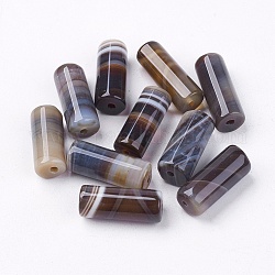 Agate à rayures naturelles/perles d'agate à bandes, teinte, colonne, brun coco, 20x8mm, Trou: 1.5mm