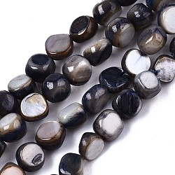 Eau douce naturelle de coquillage perles brins, teinte, pépites, bleu ardoise, 6~7x5~7x2~7mm, Trou: 0.8mm, Environ 58~62 pcs/chapelet, 14.57~15.35 pouce (37~39 cm)