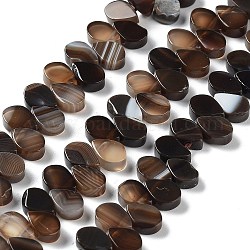 Chapelets de perles d'agate naturelle, teints et chauffée, top foré, larme, brun coco, 8x5x3mm, Trou: 0.8~1mm, Environ 52~55 pcs/chapelet, 7.48~7.87 pouce (19~20 cm)