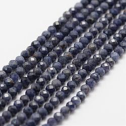 Fili di perle di zaffiro naturale, sfaccettato, tondo, 3mm, Foro: 0.5 mm, circa 120~124pcs/filo, 12.8 pollice (325 mm)