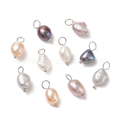 Pendentifs de perles d'eau douce de culture naturelle, avec épingles en laiton, deux faces polies, platine, 15~17x6~9x5~7mm, Trou: 3.5mm