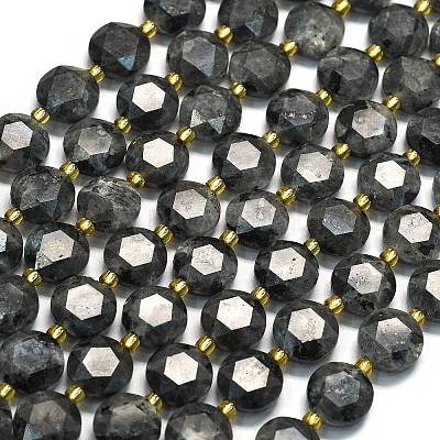 Натуральные нити бус из ларвикита G-C116-A155-01-1