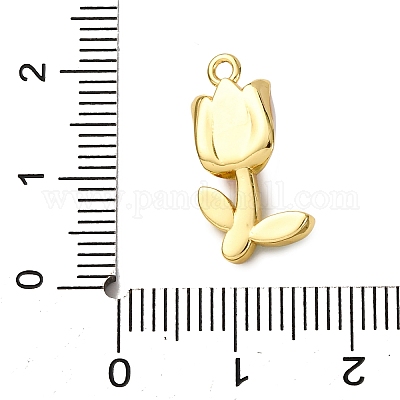 Латунь эмаль подвески KK-C119-19A-02-1